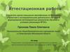 Аттестационная работа. Проектная и исследовательская деятельность в рамках экологического воспитания обучающихся в МОУ Лицей