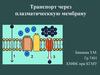 Транспорт через плазматическкую мембрану