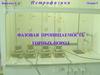 Петрофизика. Фазовая проницаемость горных пород