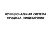 Функциональная система процесса пищеварения