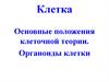 Клетка. Основные положения клеточной теории. Органоиды клетки