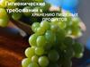 Гигиенические требования к хранению пищевых продуктов