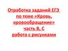 Отработка заданий ЕГЭ по теме «Кровь, кровообращение» часть В, С. Работа с рисунками