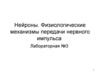 Нейроны. Физиологические механизмы передачи нервного импульса. (Лабораторная работа 3)