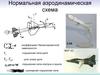 Нормальная аэродинамическая схема