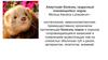 Алеутская болезнь (вирусный плазмоцитоз) норок