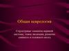 Общая неврология