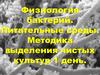 Физиология бактерий. Питательные среды. Методика выделения чистых культур 1 день