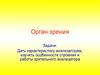 Орган зрения. Строение и работа зрительного анализатора