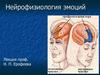 Нейрофизиология эмоций