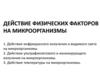 Действие физических факторов на микроорганизмы. (Лекция 10)