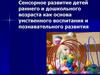 Сенсорное развитие детей раннего и дошкольного возраста как основа умственного воспитания и познавательного развития