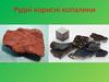 Рудні корисні копалини