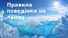 Правила поведінки на льоду
