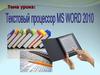 Текстовый процесор Microsoft Word