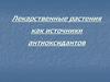 Лекарственные растения как источники антиоксидантов