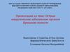 Острые хирургические заболевания органов брюшной полости