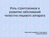 Роль стрептококков в развитии заболеваний челюстно-лицевого аппарата