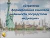 Стратегии формирования языковой личности посредством медиации