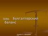 Тема 3. Бухгалтерский баланс