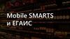 Mobile SMARTS для ЕГАИС