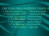 Систематика найпростіших. Тип microspora