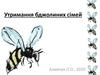 Утримання бджолиних сімей