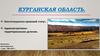 Курганская область. Конституционно-правовой статус. Административно-территориальное деление