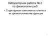 Структурные компоненты клетки и их физиологические функции