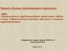 Промысловый трубопроводный транспорт нефти и газа. Гидравлические расчеты простых и сложных трубопроводов