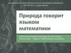Разнообразие математических закономерностей, используемых природой