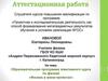 Аттестационная работа. Физика в мини-проектах