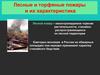 Лесные и торфяные пожары и их характеристика