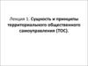 Сущность и принципы территориального общественного самоуправления (ТОС)