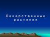 Лекарственные растения