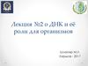 ДНК и её роль для организмов