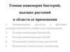 Генная инженерия бактерий, высших растений и области ее применения