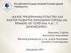 Малое предпринимательство как фактор развития экономики города (на примере ИП "Серегина Н.В.", г. Домодедова)
