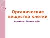 Органические вещества клетки. Углеводы. Липиды. АТФ