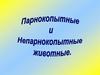 Парнокопытные и непарнокопытные животные