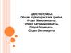 Царство грибы. Общая характеристика грибов. Отдел Миксомицеты. Отдел Хитридиомицеты. Отдел Оомицеты. Отдел Зигомицеты