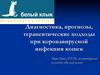 Диагностика, прогнозы, терапевтические подходы при коронавирусной инфекции кошек