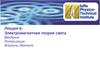 Лекция 6: Электромагнитная теория света. Поляризация. Формулы Френеля