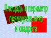 Площадь и периметр прямоугольника