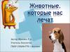 Животные, которые нас лечат