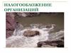 Налогообложение организаций