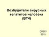 Возбудители вирусных гепатитов человека (ВГЧ)