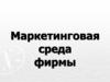 Маркетинговая среда фирмы
