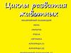Циклы развития животных