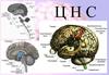 Центральная нервная система
